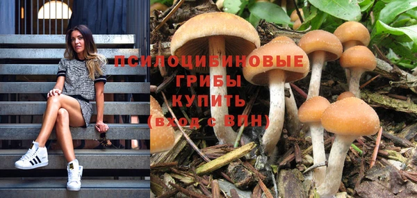 индика Каменск-Шахтинский