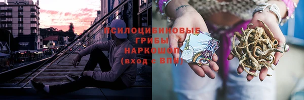индика Каменск-Шахтинский