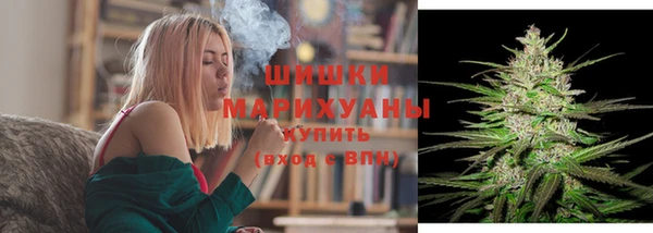 индика Каменск-Шахтинский