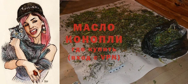 метадон Каменка