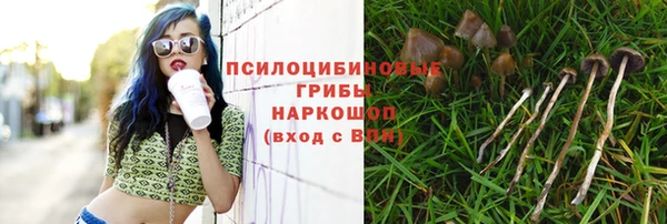 индика Каменск-Шахтинский