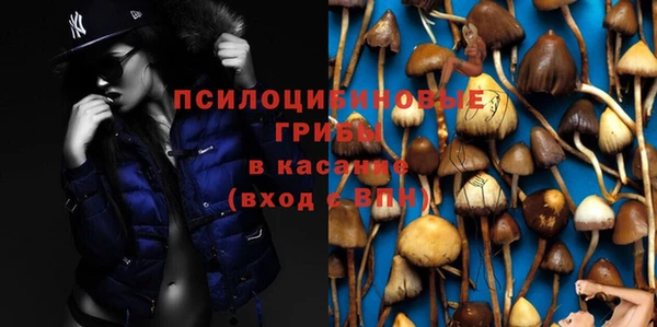 индика Каменск-Шахтинский