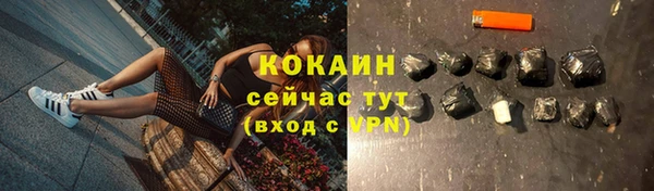 метадон Каменка