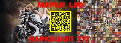 гидра Берёзовский