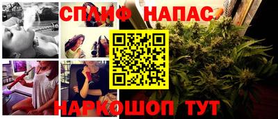 гидра Берёзовский