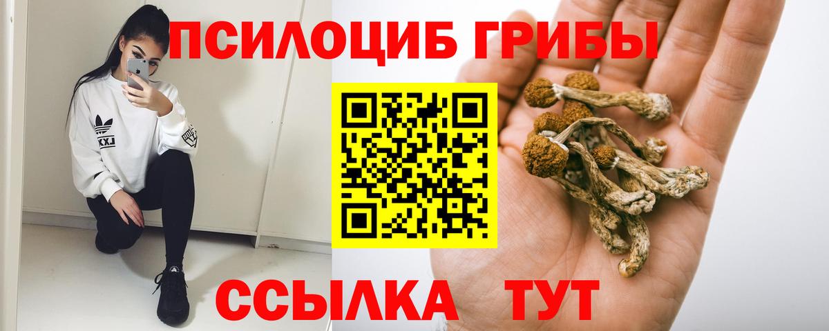 Галлюциногенные грибы Psilocybe Люберцы